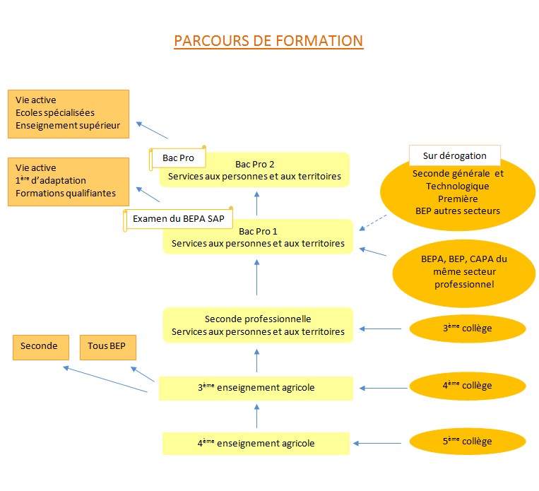 Poursuite d'études après le Bac pro Sapat